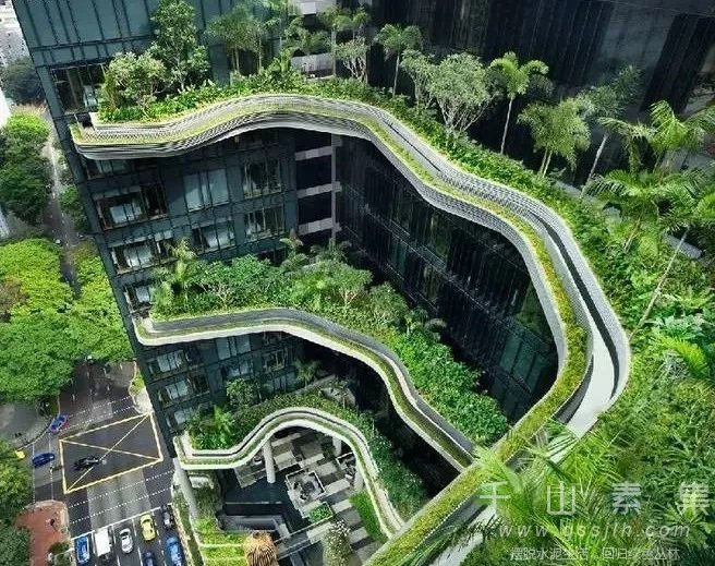 垂直绿化,城市绿化,垂直绿化景观