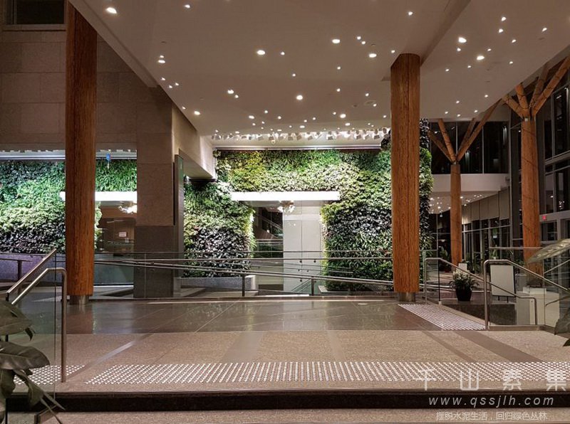 加拿大政府楼植物墙 雄伟壮丽的绿色空间
