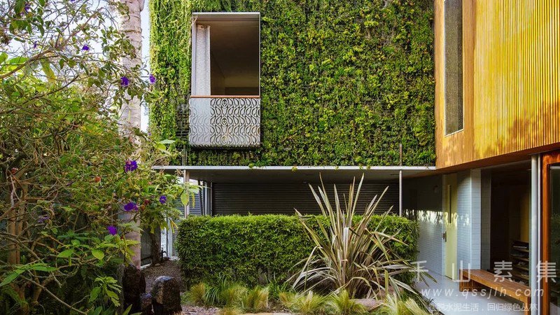 庭院植物墙,植物墙设计,植物墙景观