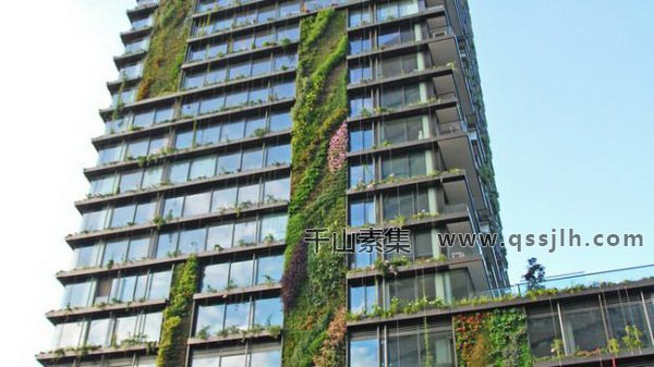 世界上最高的垂直绿化花园