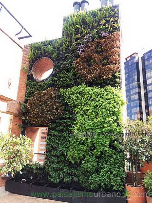 公寓垂直绿化,垂直绿化景观