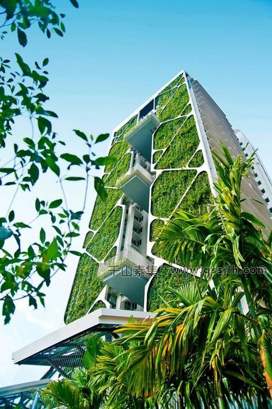垂直绿化花园 让大自然的美丽在城市中常驻