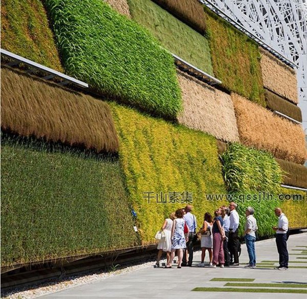 垂直绿化花园,城市垂直绿化