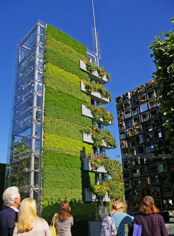 垂直绿化-城市绿化建设新思路