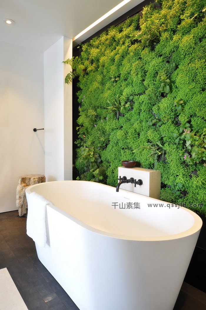 浴室植物墙 体验不一样的风景
