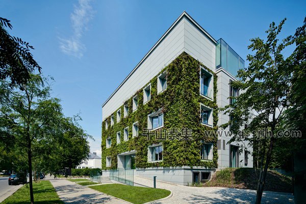 垂直绿化植物墙 模糊了建筑与自然之间的界限