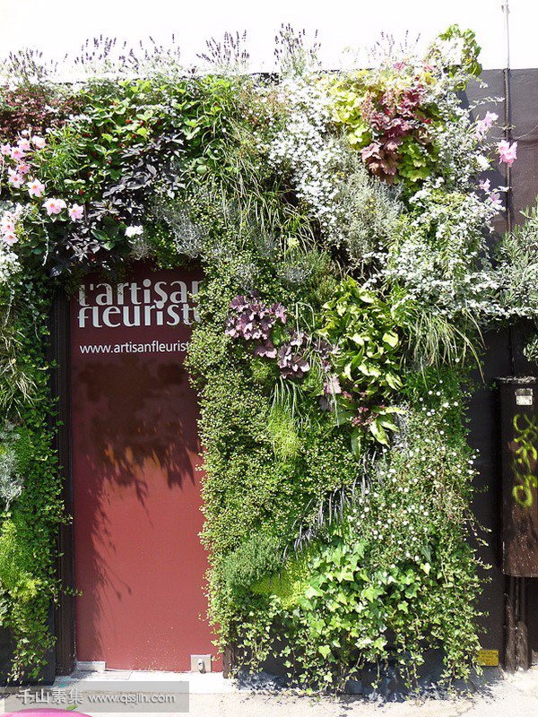 花店植物墙,植物墙景观,植物墙设计