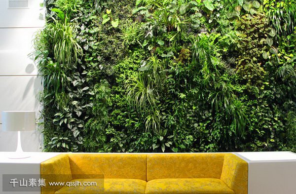 室内植物墙,植物墙好处,植物墙景观