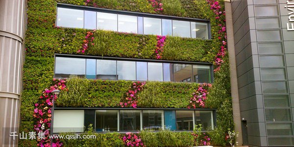约克大学植物墙 生态建筑和自然观景的完美融合