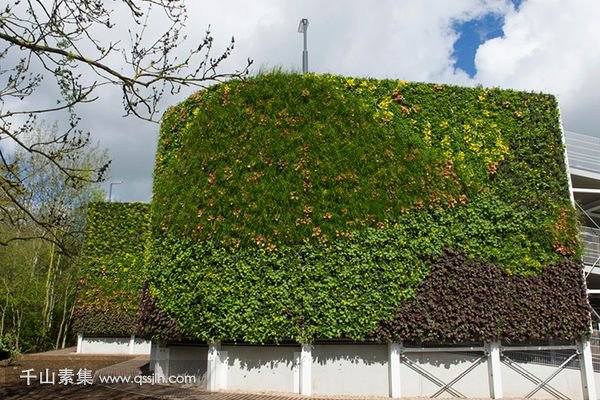 企业植物墙,公司植物墙,植物墙设计,植物墙景观