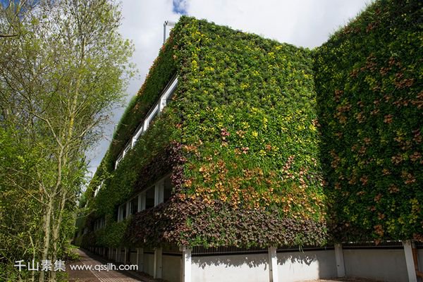 企业植物墙,公司植物墙,植物墙设计,植物墙景观