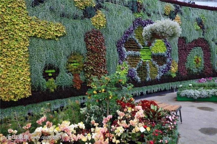 植物园植物墙