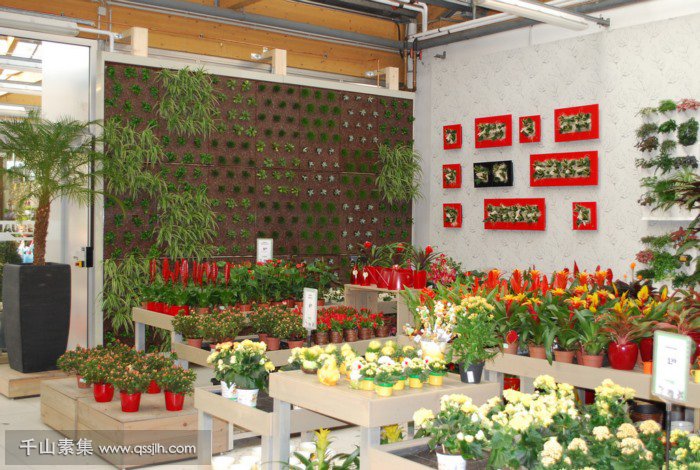 7个模块化植物墙实例