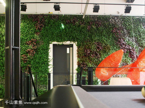 公司植物墙,植物墙设计,植物墙景观