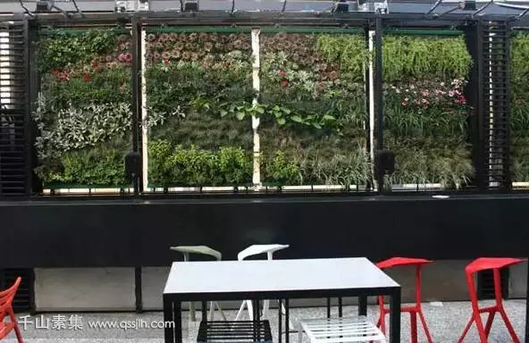 门店植物墙