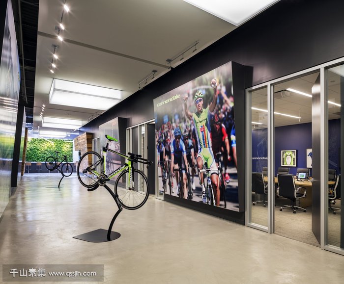 自行车品牌dorel sports办公室设计