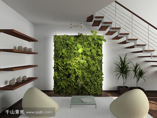还在用空气净化器？室内植物墙才是你最好的选择！