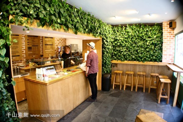 用植物墙打造环保住宅 净化环境和心灵