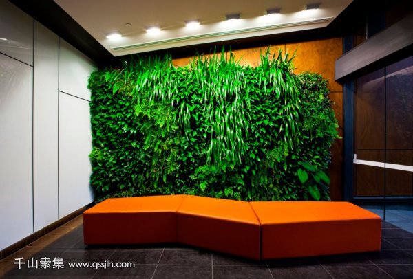 植物墙设计如何扁平化造景