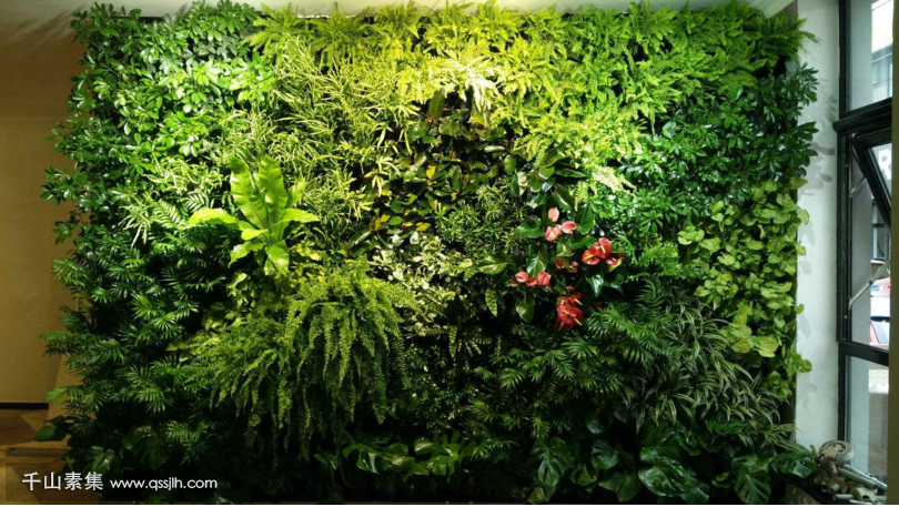 植物墙的N种姿势，打造一扇绿植墙