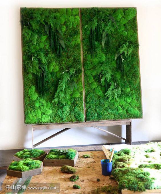 苔藓--打造室内“秘密花园”