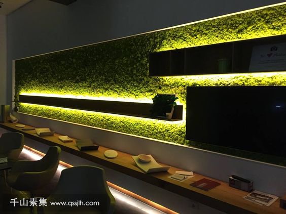 各种灯光搭配植物墙，让植物显得“金碧辉煌”