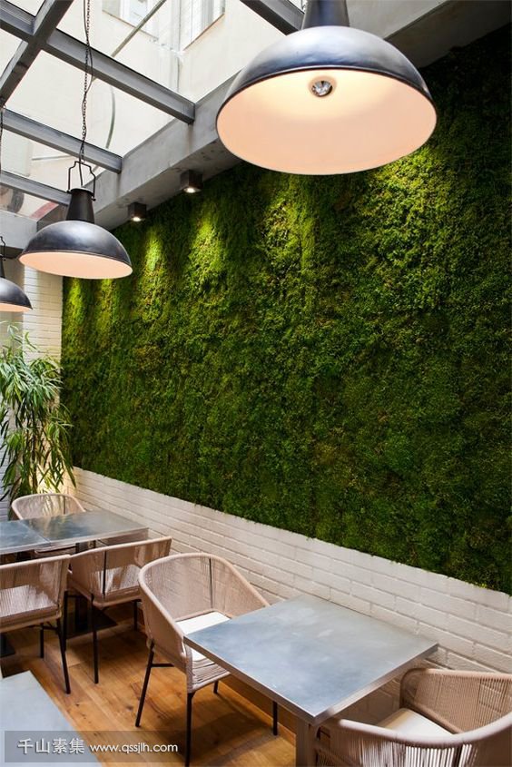 浅谈植物墙在餐饮行业中的实际应用