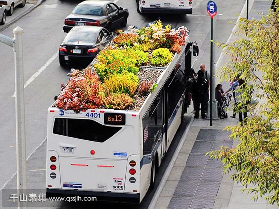 公交车都可以做绿化了，你相信吗？