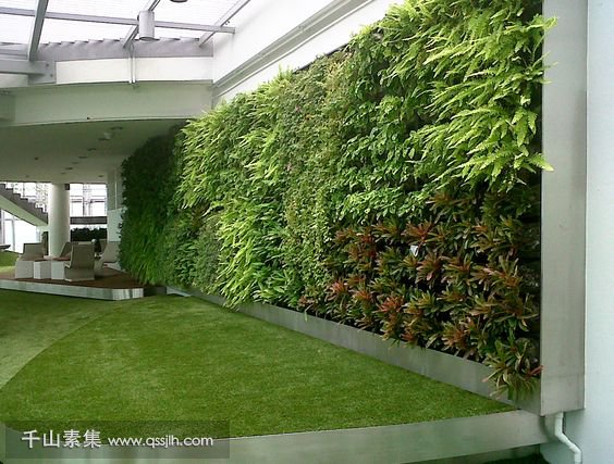 室内植物墙设计搭配应该遵循的原则有哪些？