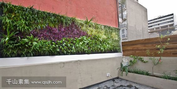 不同寻常的植物墙做法，用意境和内涵实现价值