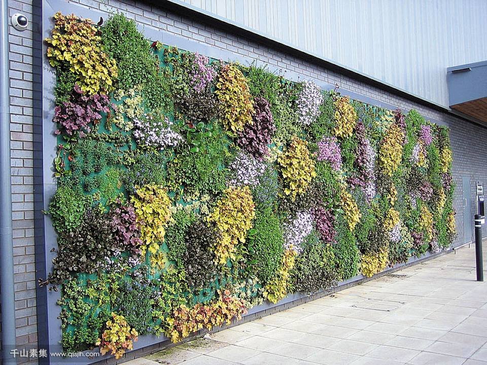 在武汉定制植物墙这些事项你得注意一下！