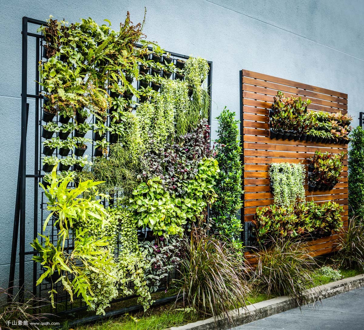 家里的植物墙这样做不仅好看，还方便！