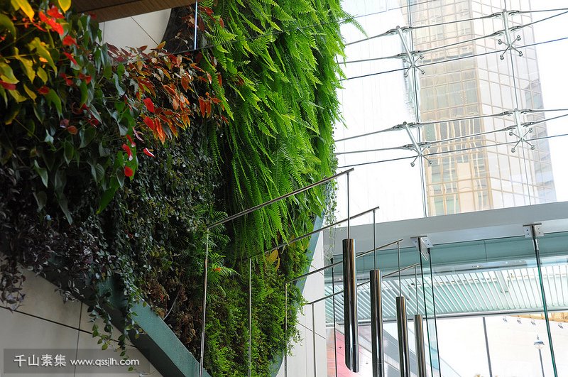 香港唯港荟酒店绿植墙，打破空间的束缚！
