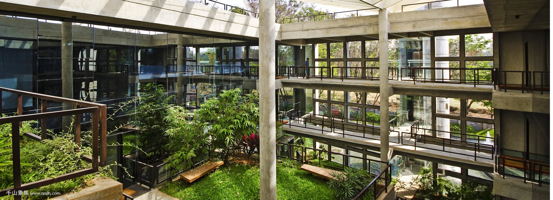 “生态办公”办公楼里的热带花园！
