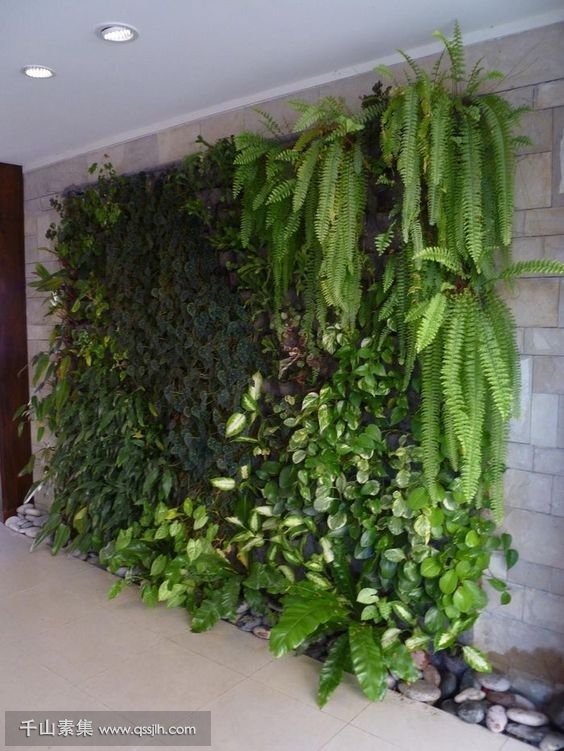 植物墙2.jpg