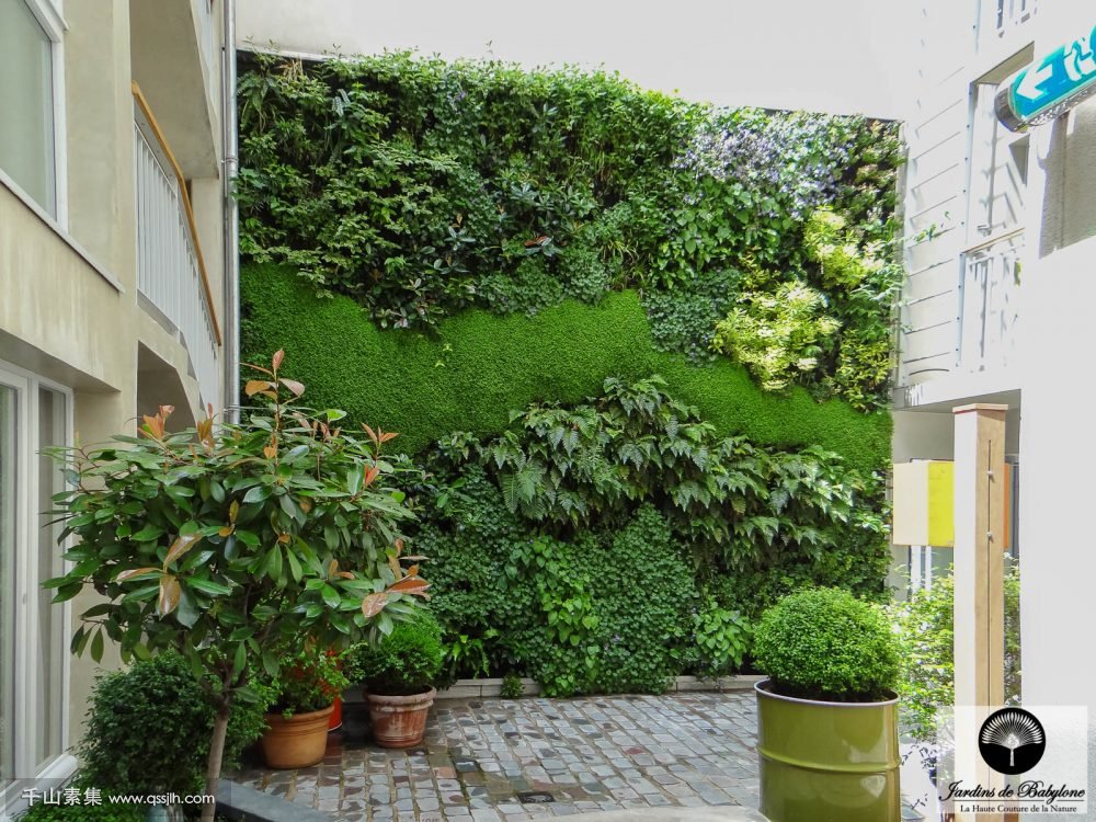 amenagement-jardin-mur-vegetal-grand-1000x750.jpg