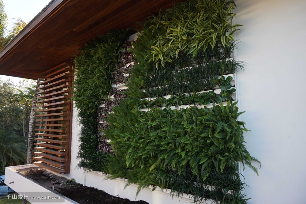 自己在家做立体植物墙时注意这样几个方面，瞬间让植物墙好看十倍！