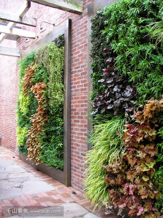 a-living-wall-for-an-exterior-courtyard-space-in-center-city-Philadelphia.jpg