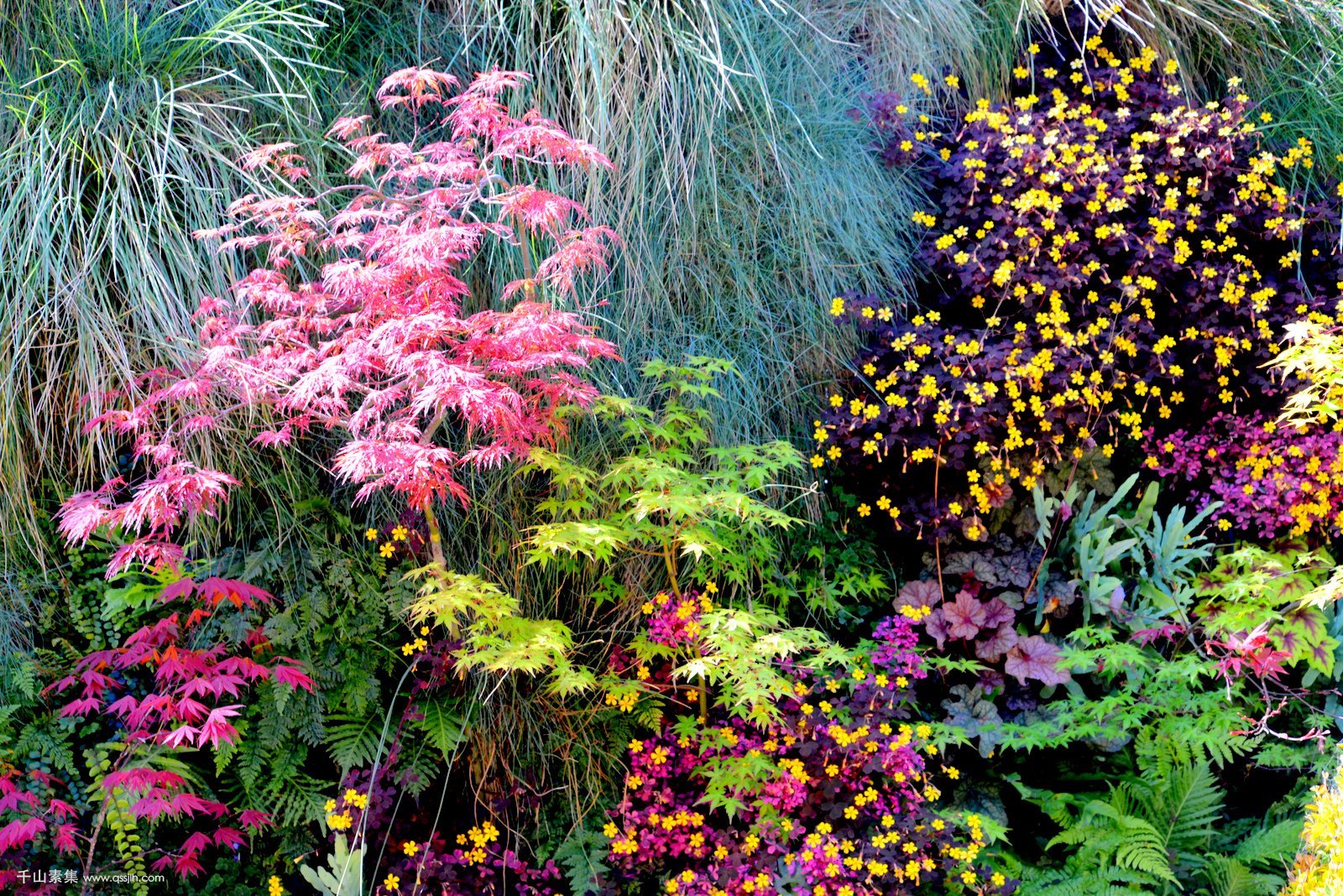 3-florafelt-vivid-color-vertical-garden-living-green-san-francisco1.jpg