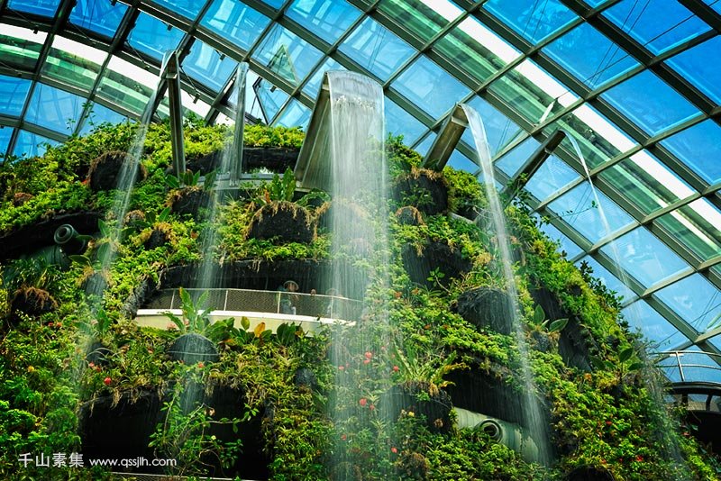 新加坡人这样做室内绿化,效果图看起来很棒！