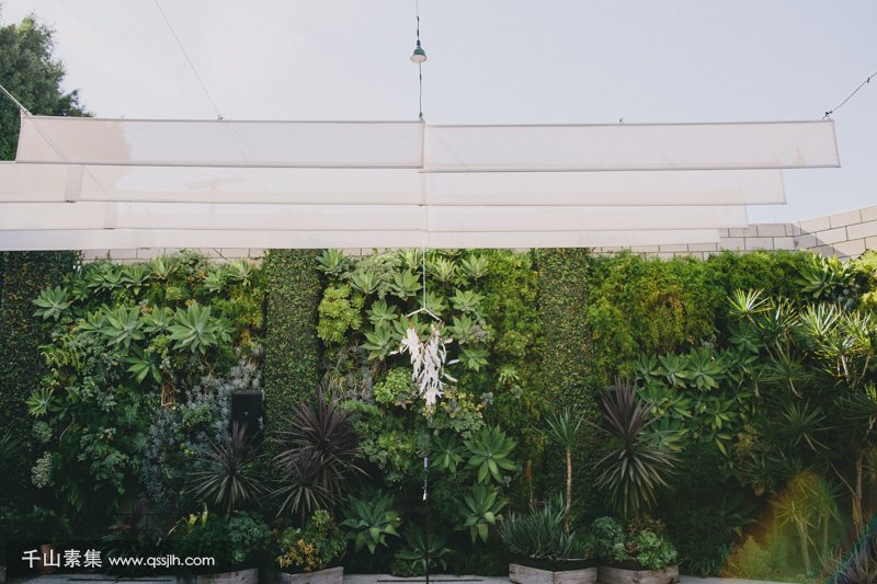 婚礼用植物墙做背景，是一种什么体验？