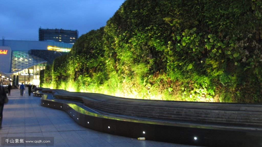 Living-Wall-at-Westfield-Shopping-Centre-by-AECOM-5.jpg