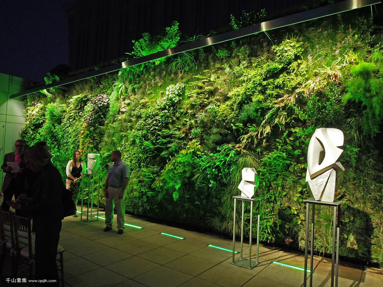 为什么生活需要“植物墙”，它能提供绿景和净化空气！