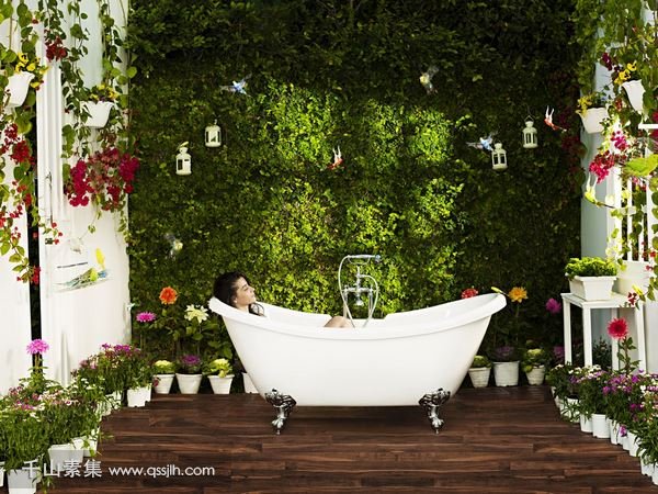 卫浴植物墙