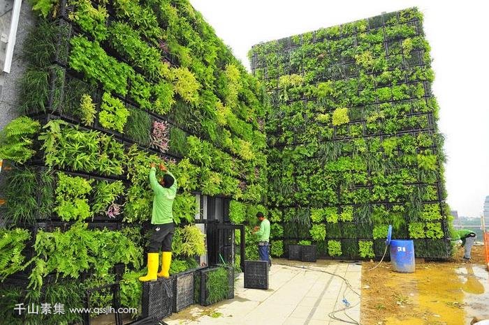 城市立体绿化