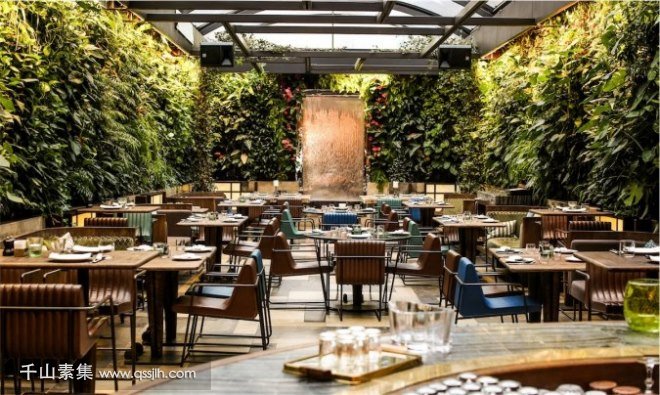 NOPA餐厅植物墙 设计让用餐环境更生动