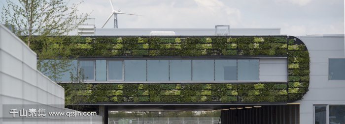 耐克物流点垂直绿化 欧洲面积最大的植物墙