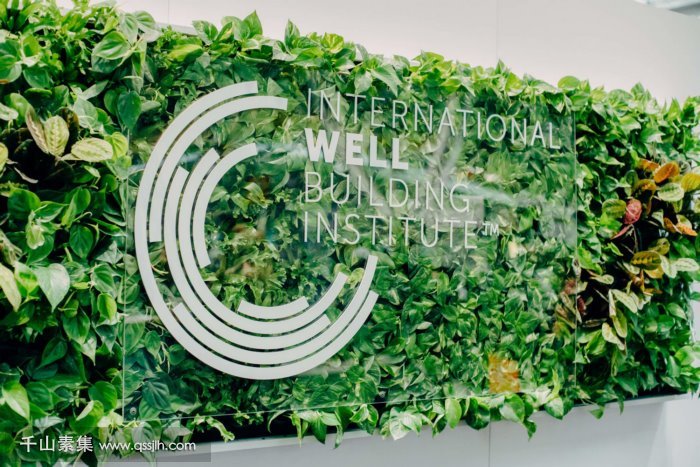 IWBI大厅植物墙 有绿色，更健康