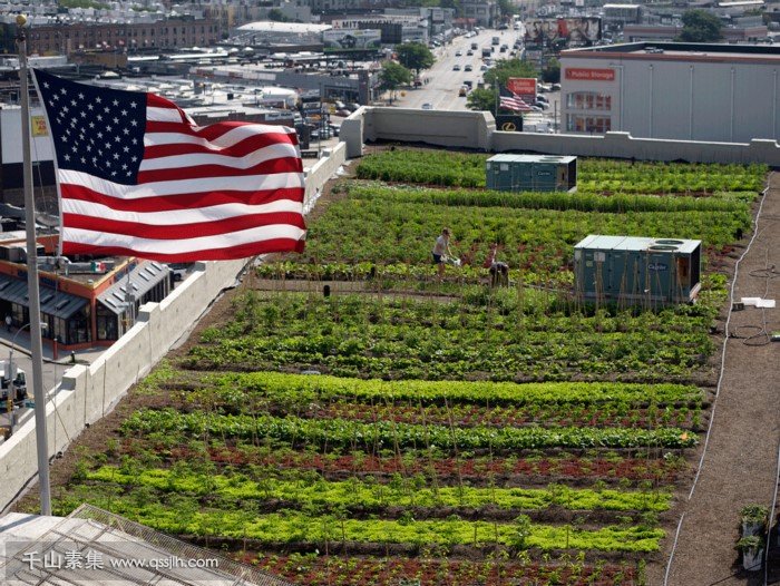 屋顶绿化案例：世界上最大的屋顶农场