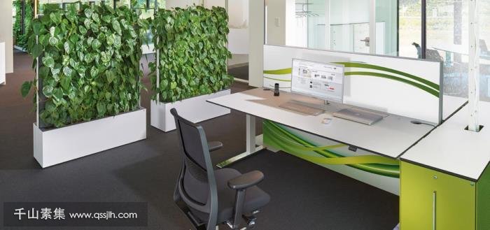 办公室装修为什么要重视室内绿化
